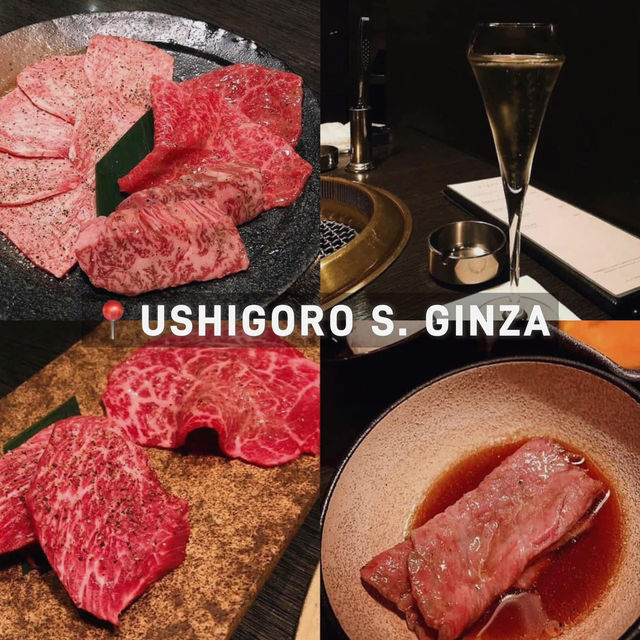 10 Location ร้านเนื้อย่าง Yakiniku in Tokyo🇯🇵