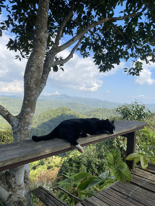 ฤดูหนาวที่ดูเลเล | จ.เชียงใหม่ 🏡⛰️🌿🔥