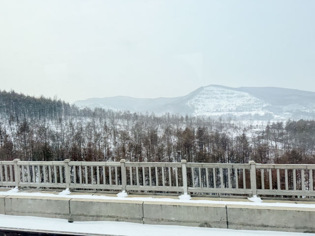 การเดินทางมา Snow Town จากตัวเมือง ฮาร์บิน