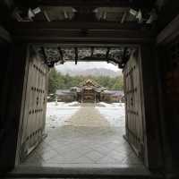 【新潟🌾】新潟の最強パワースポット⛩️