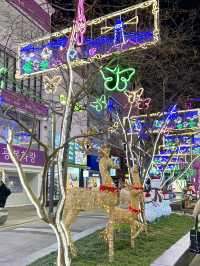 【韓国 釜山】2024光復路冬の光ツリー祭り🎄