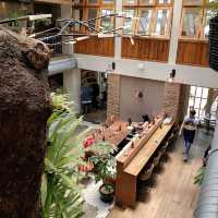 Beautiful cafe