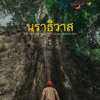เที่ยวนราธิวาส 3 วัน 2 คืน 