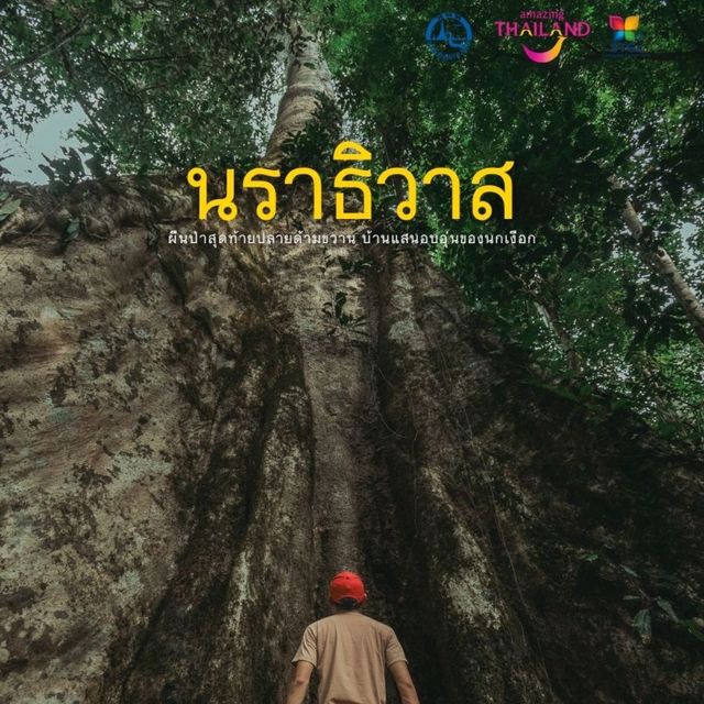 เที่ยวนราธิวาส 3 วัน 2 คืน 