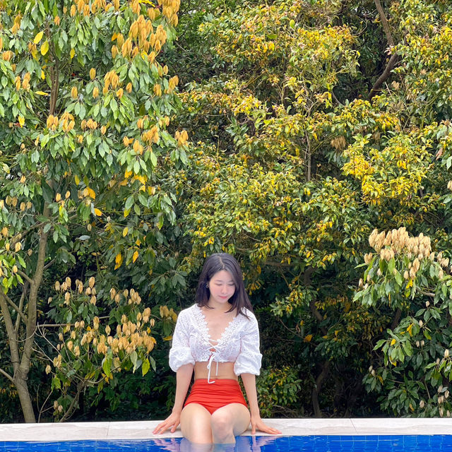인피니트풀이 너무 예쁜 제주도 호텔 머큐어 앰배서더 🌿