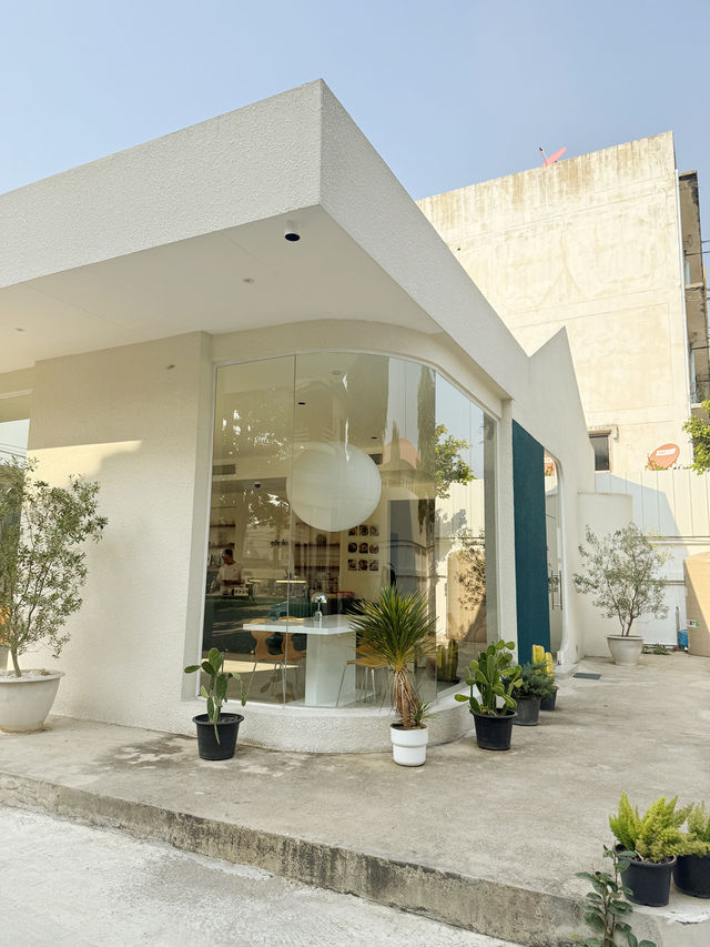 คาเฟ่ฟิโล Phylo Cafe