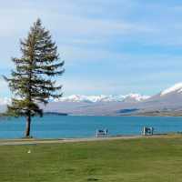 Lake Tekapo Magic: A Serene Day Surrounded by Lavender and Turquoise Waters!