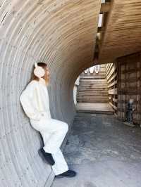 UNDER THE PALMO