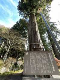 【山梨 冬の日帰り旅】  映えスポットとして人気の「天空の鳥居」