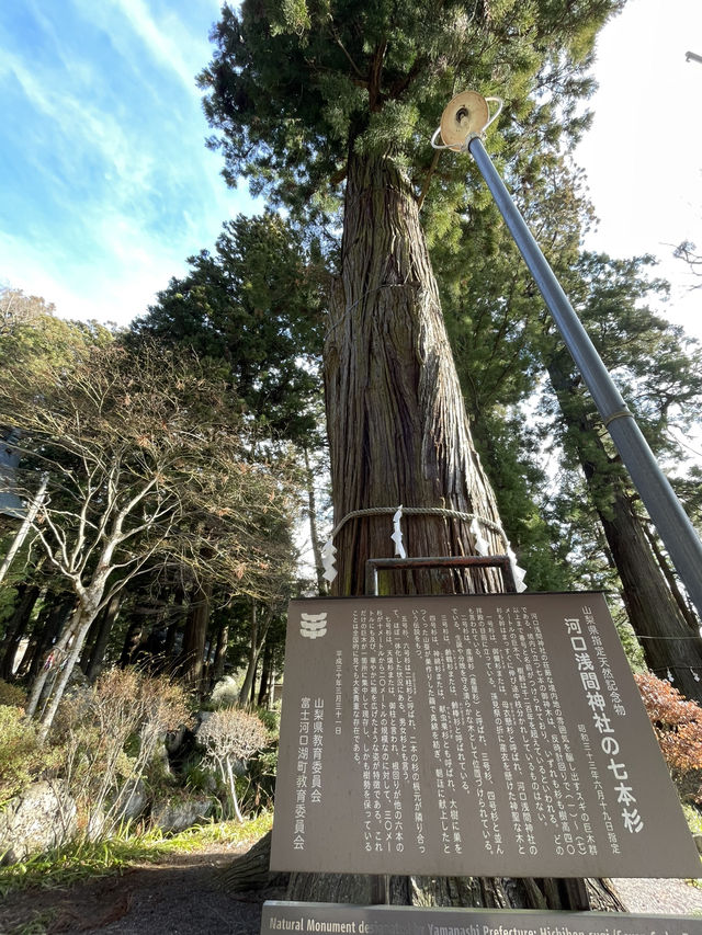 【山梨 冬の日帰り旅】  映えスポットとして人気の「天空の鳥居」