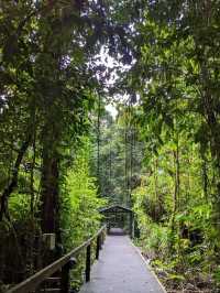 Into the Heart of Borneo: My Adventure in Gunung Mulu National Park