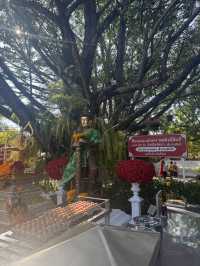 มูใฟ้สุดหยุดที่รวย วัดทุ่งอ้อ เชียงใหม่