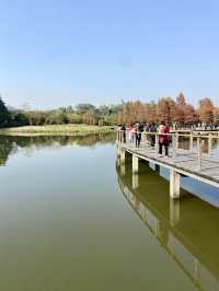 🥰❤️沉浸於大自然～香港必去濕地公園🏞️🌳