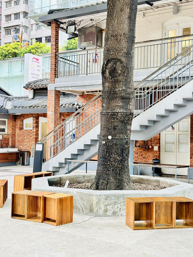 🇭🇰 鬧市中的古老建築，有小植物園草地，還可以睡覺🤣