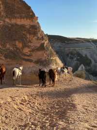 Rose Valley: Cappadocia’s Hidden Gem