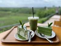 ไร่ชาที่กว้างใหญ่และวิวสวยจิ้งที่เชียงราย 🌱