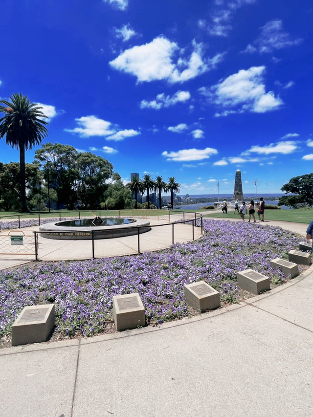 Unmatched Views & Remembrance at Kings Park🇦🇺🦘🙏🏼