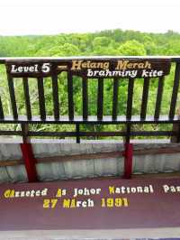 Discover Johor’s Hidden Mangrove Wonderland: Pulau Kukup