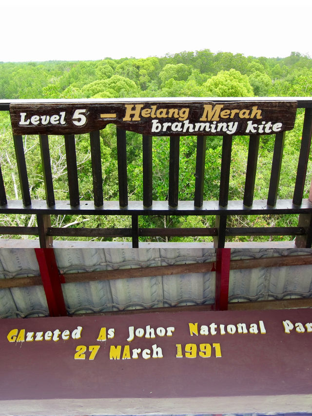 Discover Johor’s Hidden Mangrove Wonderland: Pulau Kukup