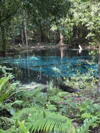 EMERALD POOL - Krabi, Thailand
