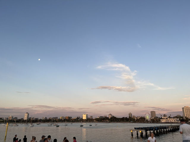 🇦🇺 澳洲墨爾本的最美海岸 還有企鵝群🐧
