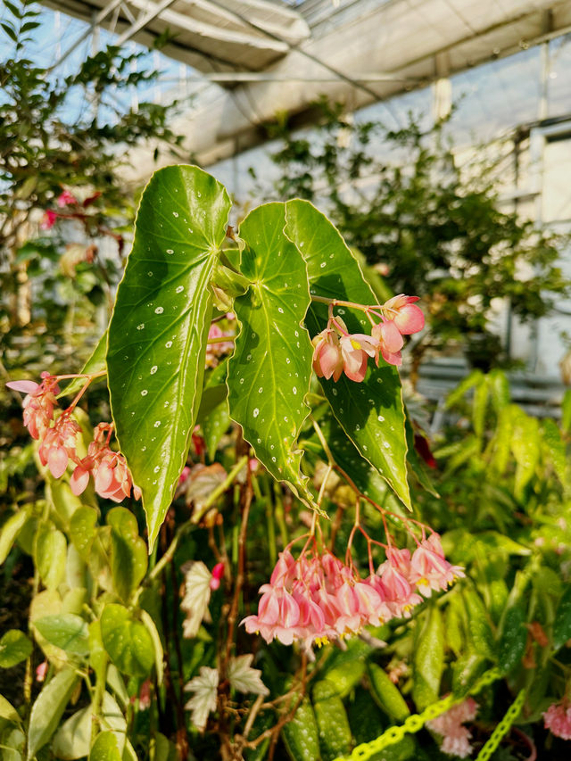 커피와 식물을 사랑한다면, ‘통영 동백커피식물원’ 🌳☕️