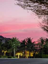 🎢 Best Things to Do on Phu Quoc: Beyond the Beaches 🌴