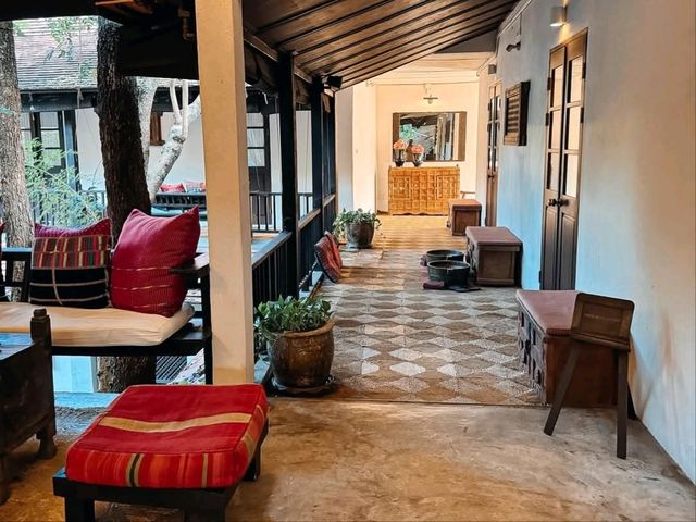 200年的樹@Tamarind Village