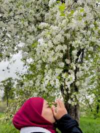 Botanical Garden Almaty, Kazasthan😍