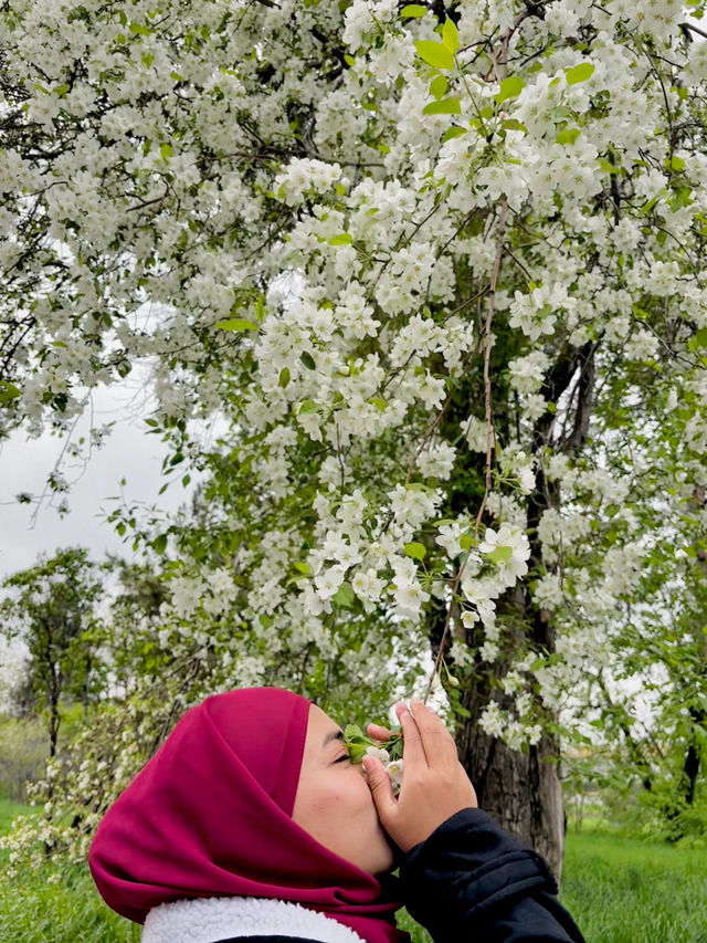 Botanical Garden Almaty, Kazasthan😍