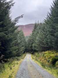 Mystical Glendalough: Journey into Ireland’s Timeless Heart