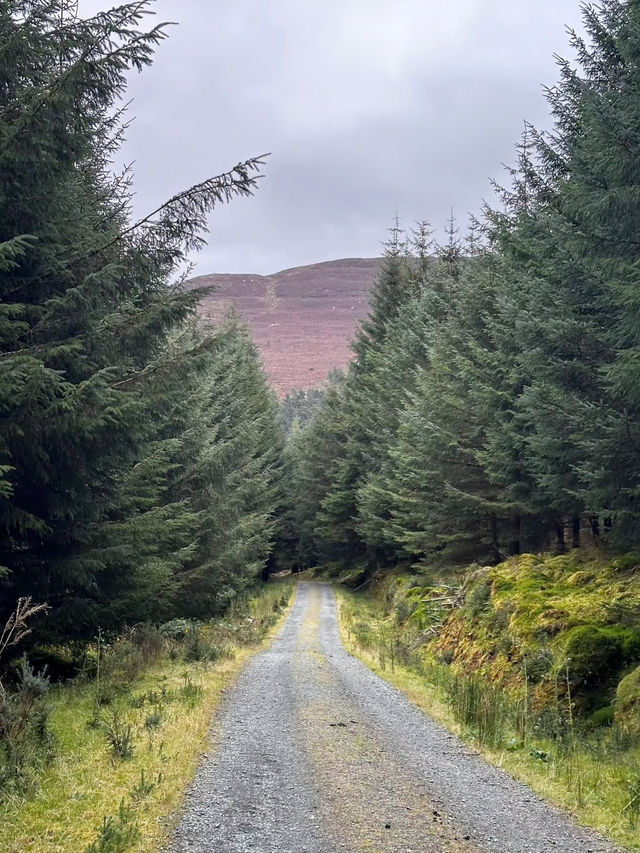 Mystical Glendalough: Journey into Ireland’s Timeless Heart