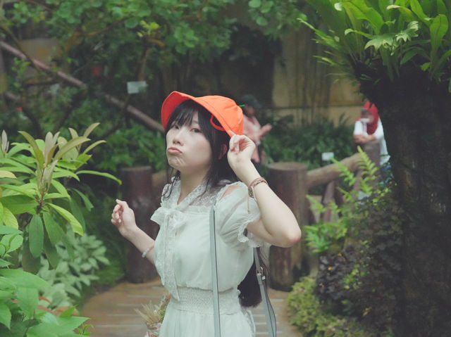 🌿🌞 探索霍士傑溫室的奇妙世界！