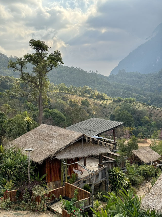ที่พักดอยหลวงเชียงดาว | เชียงใหม่ 🏡⛰️🌤️💤