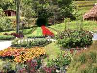 Chill to Thrill:Flower Wonderland 