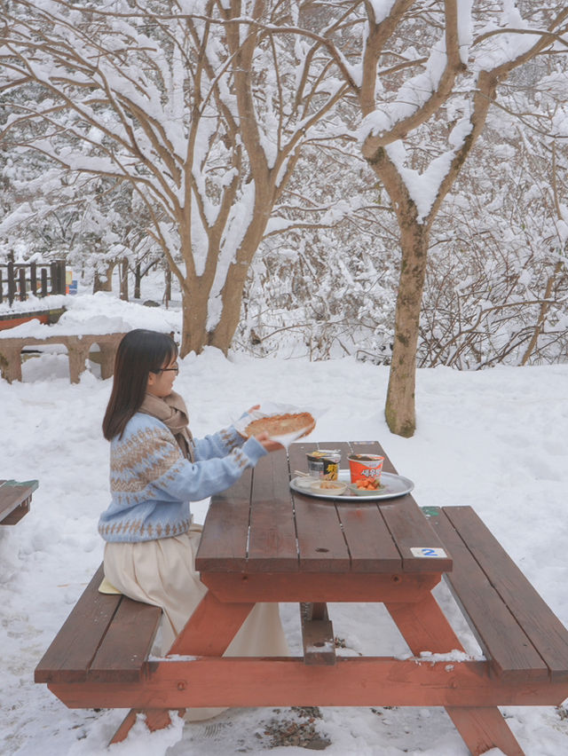 진짜 등산 1도 없이 만날 수 있는 눈 내린 겨울 설산🏔️❄