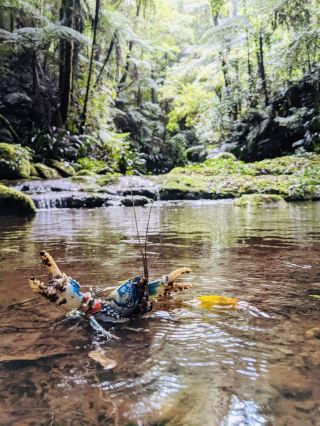 Nature’s Paradise: Hiking Lamington National Park
