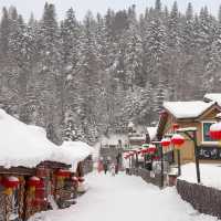 เที่ยว #ฮาร์บิน 5 วัน 4 คืน ที่สักครั้งควรไป ❄️🇨🇳