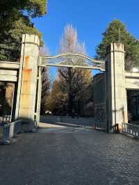 「小石川後樂園」賞楓