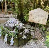 【宮崎県】ジャングルの中の神社？　-青島神社-
