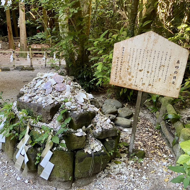 【宮崎県】ジャングルの中の神社？　-青島神社-