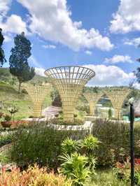 Vibrant Display of Flora @Betong Garden