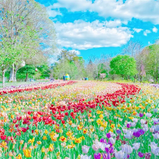 【古城巡り🏰】シュヴェルニー城🇫🇷