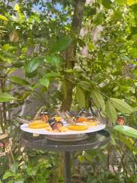 Singapore Zoo: A Wildlife Adventure in the Heart of Nature