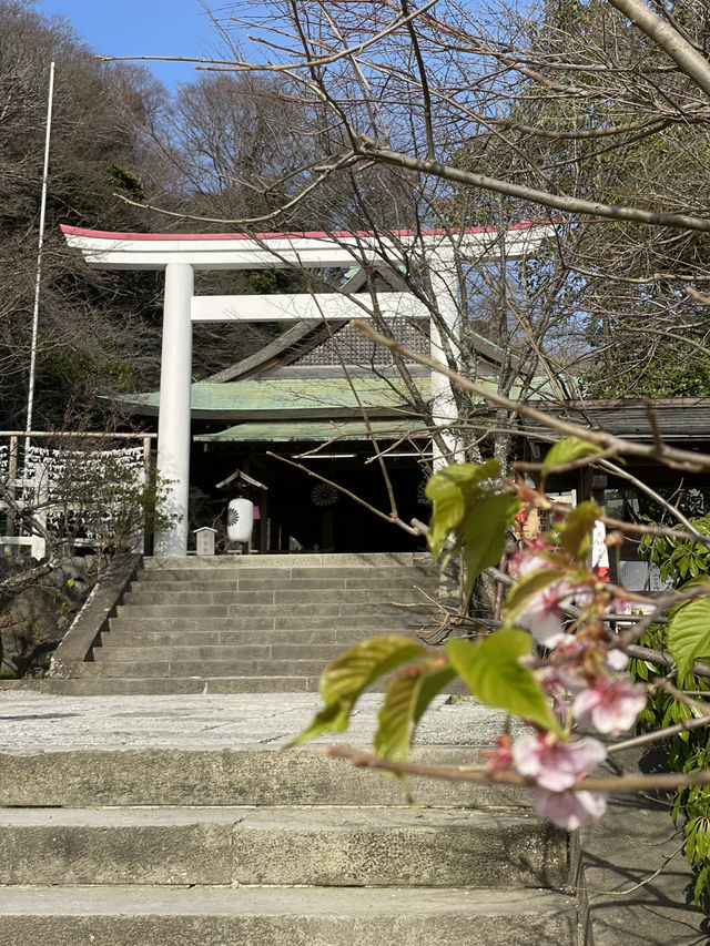【鎌倉×初春日帰り旅】  珍しい紅白の鳥居  手水舎に獅子頭守りがいっぱい！