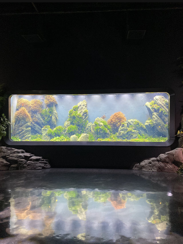 ナマケモノの餌やりが楽しめる！沖縄水族館