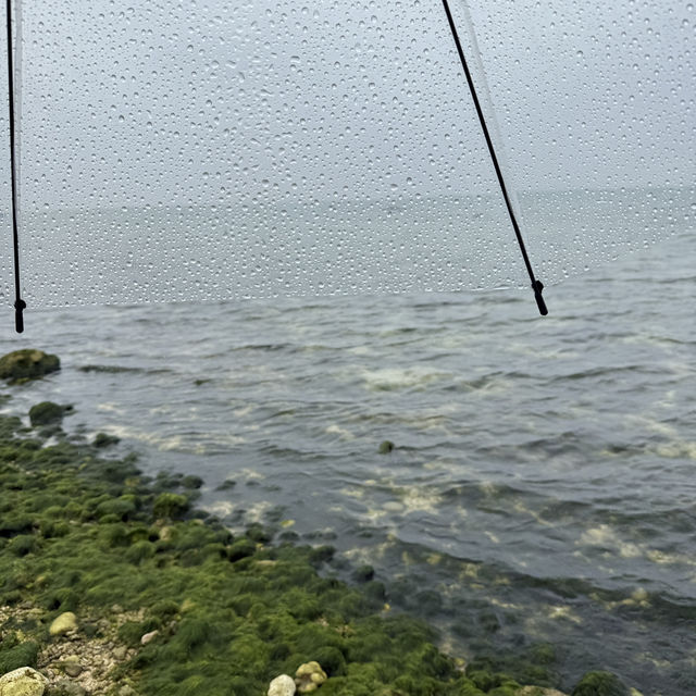 石垣島放鬆之旅