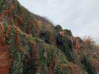 Pofeng Ridge 坡峰岭 is a Hidden Gem for Hikers 🌿🏞️