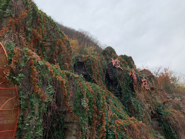 Pofeng Ridge 坡峰岭 is a Hidden Gem for Hikers 🌿🏞️