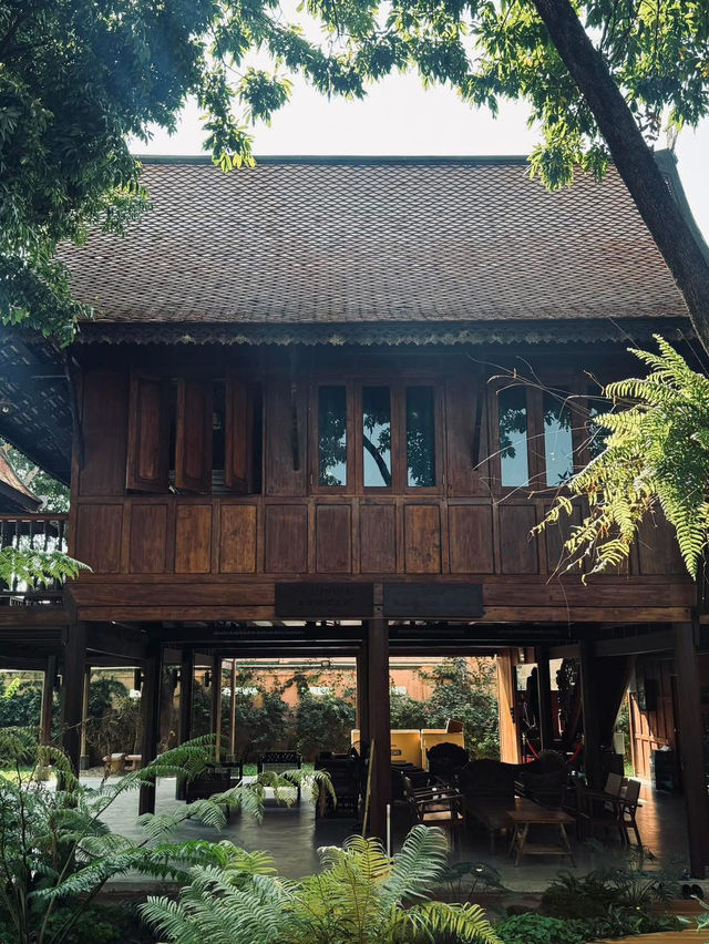 ไท่ไท่ทองอินทร์ Taitai Thongin 